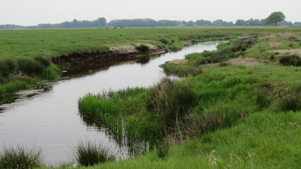 'T Zwanemeer Gieten Bagian luar foto