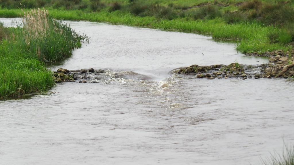 'T Zwanemeer Gieten Bagian luar foto
