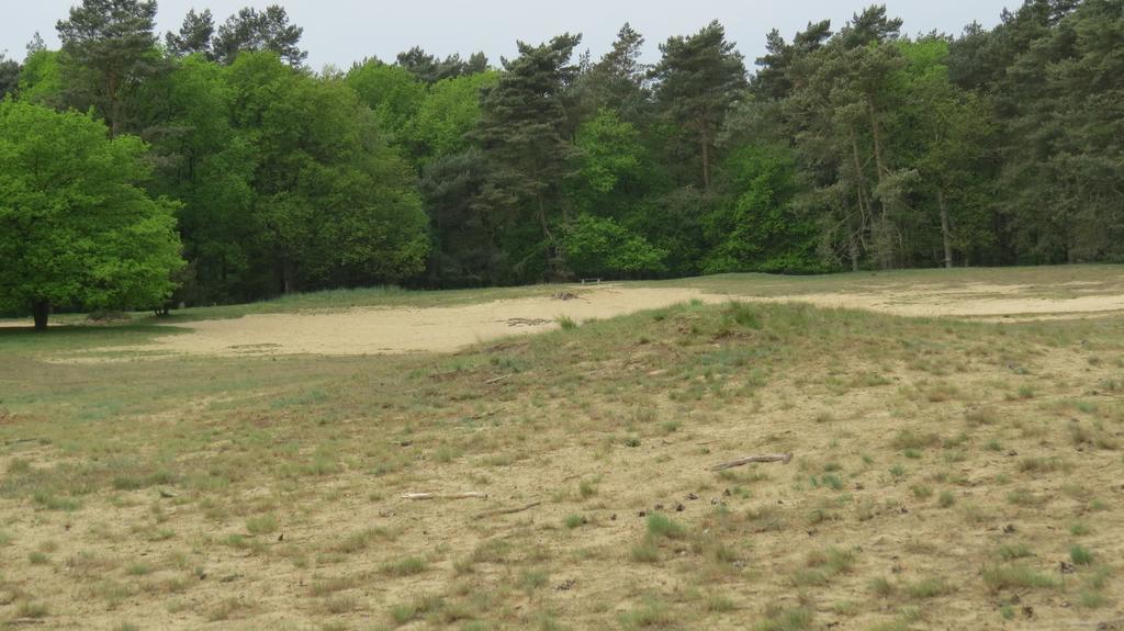 'T Zwanemeer Gieten Bagian luar foto