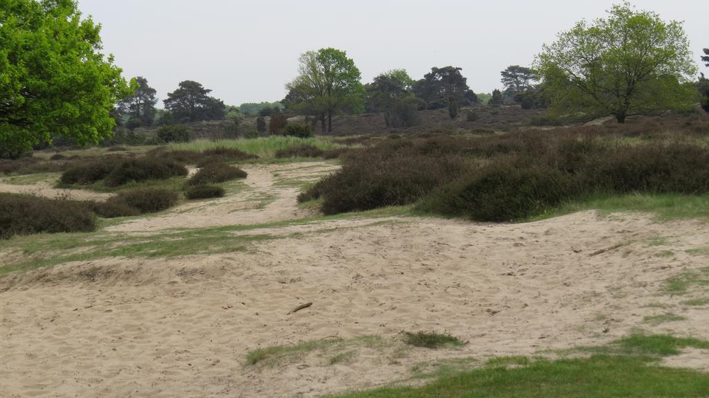 'T Zwanemeer Gieten Bagian luar foto