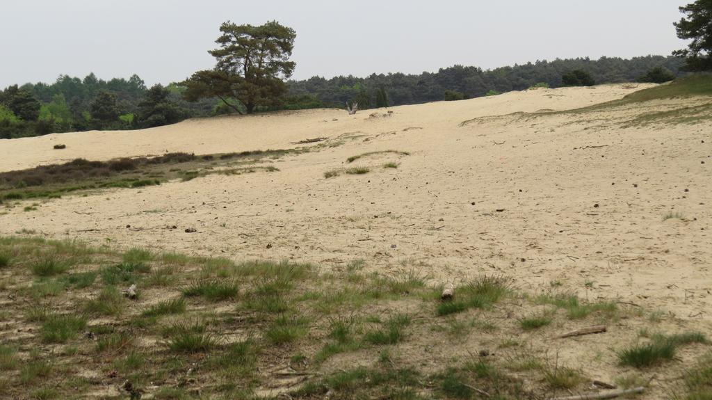 'T Zwanemeer Gieten Bagian luar foto