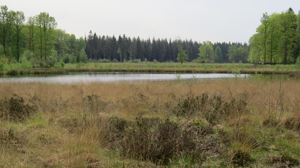 'T Zwanemeer Gieten Bagian luar foto